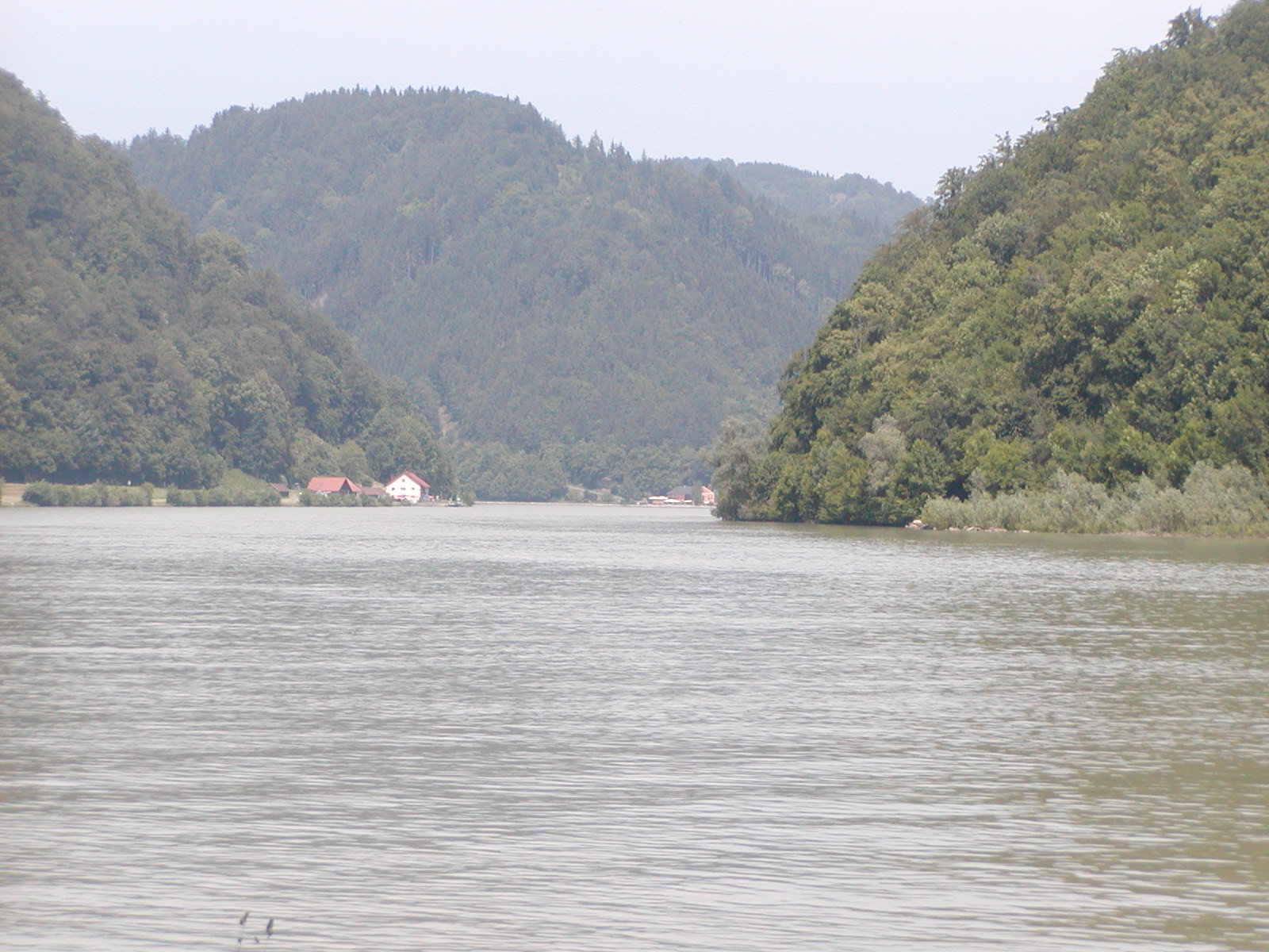 P6050024.jpg