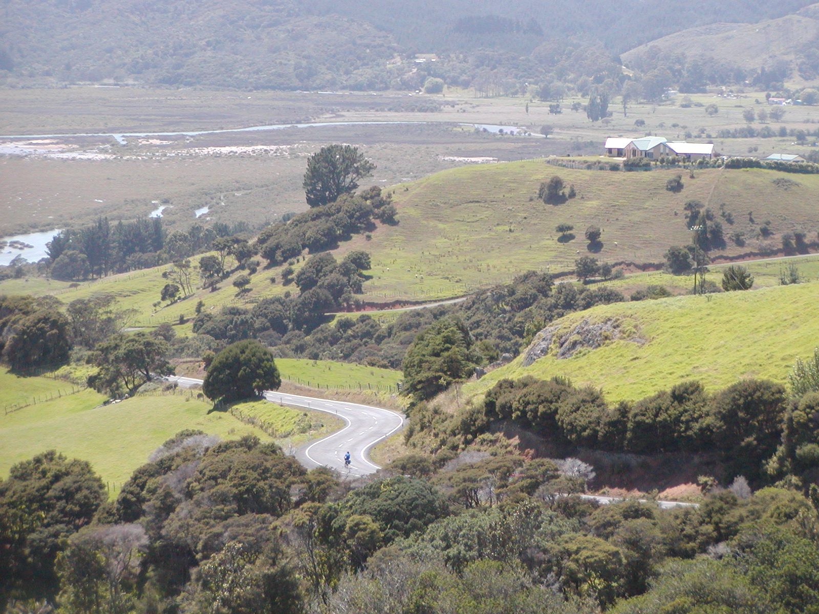 P2130053.jpg