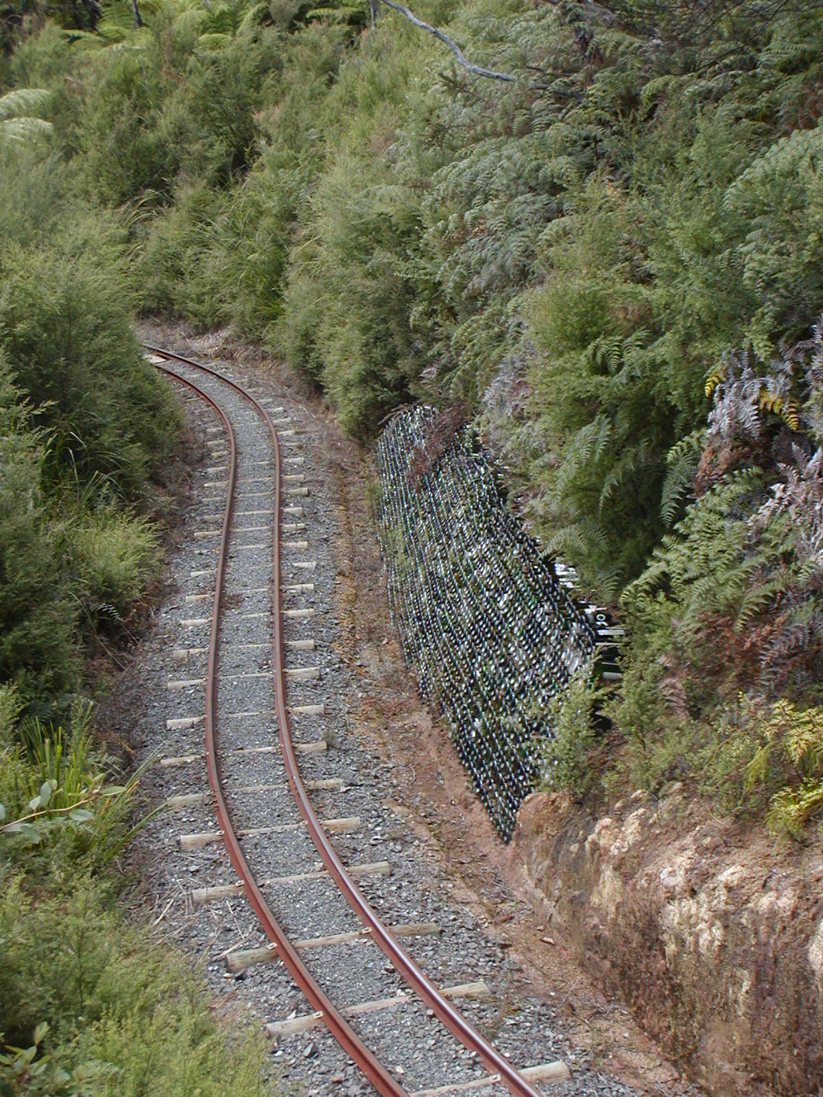 P2140015.jpg