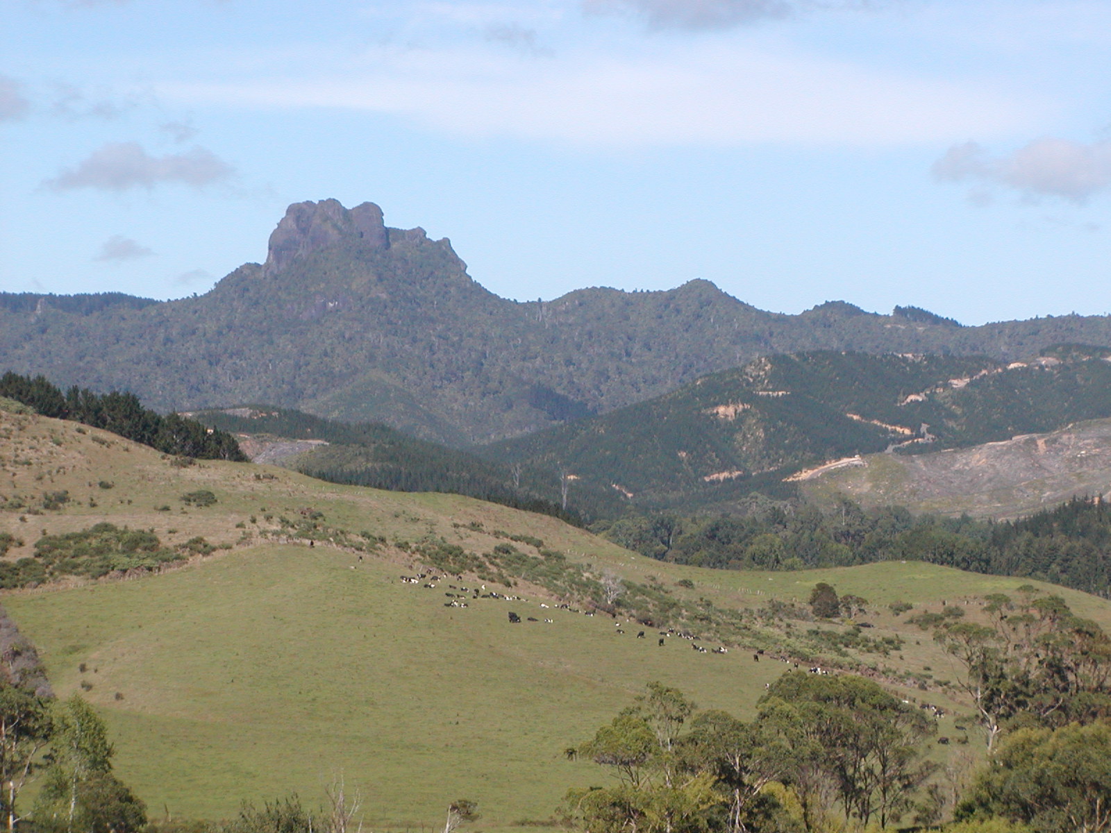 P2150052.jpg