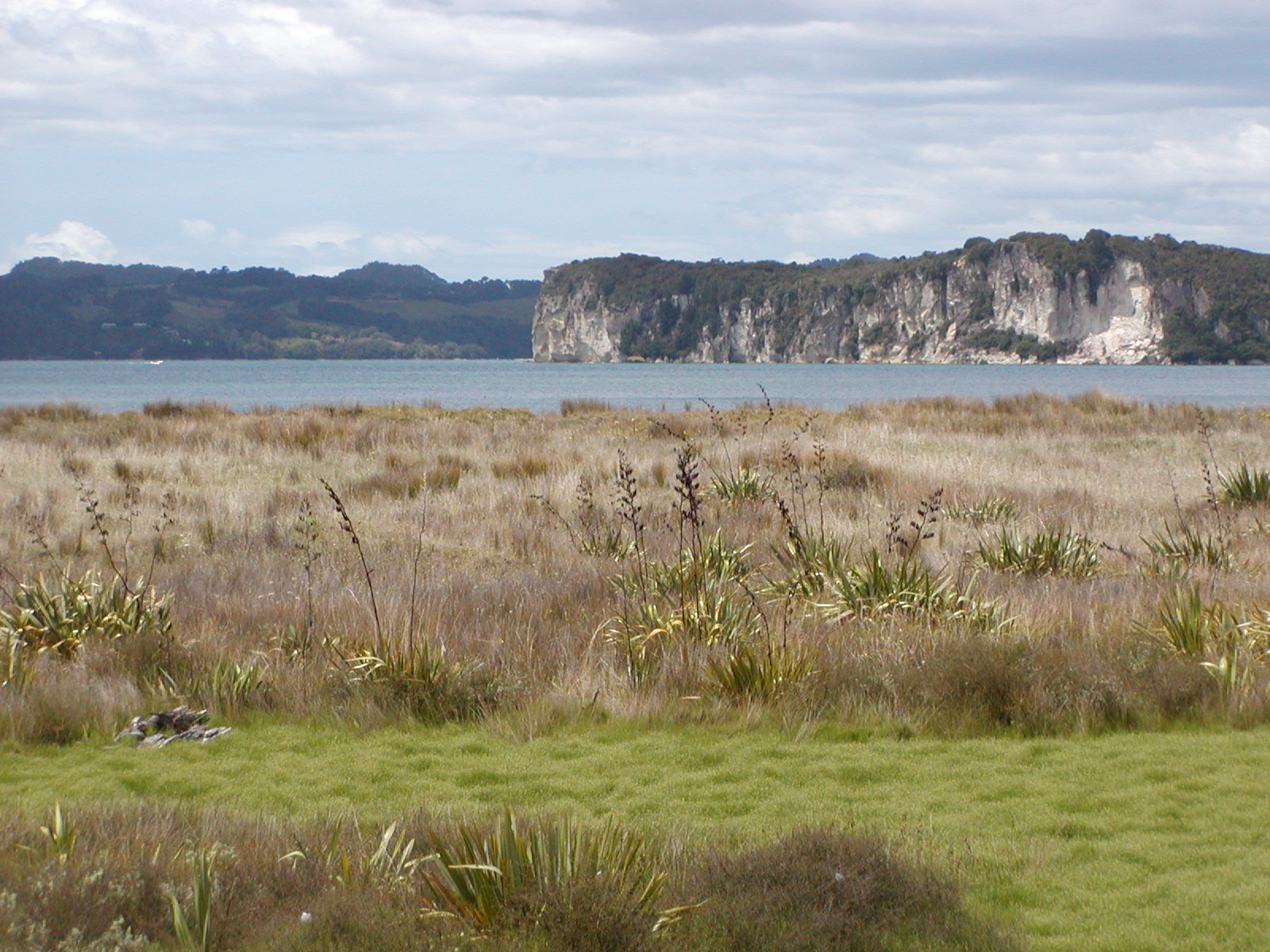 P2150057.jpg