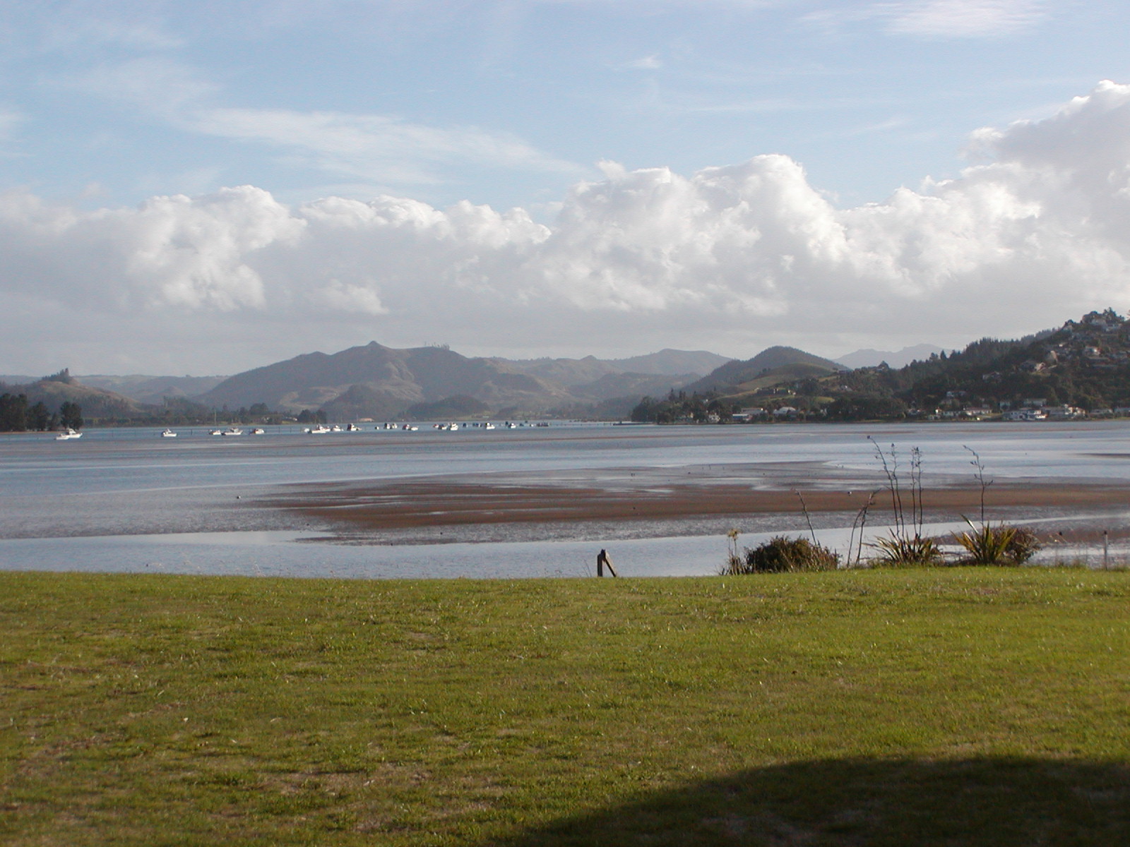 P2160093.jpg