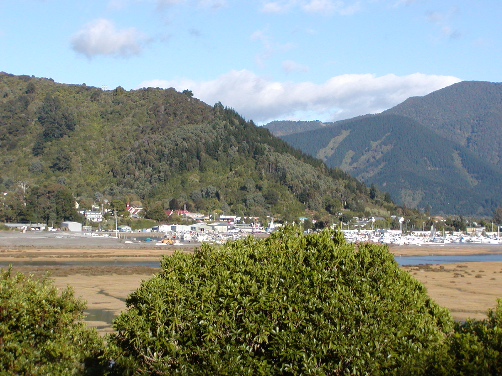 P2200114.jpg