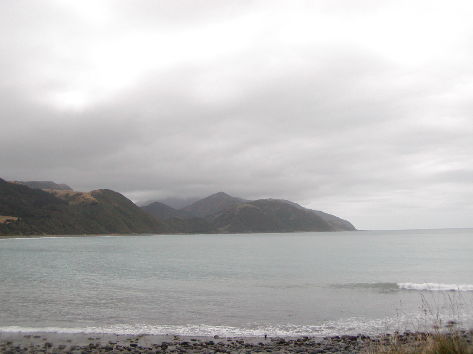 P2220122.jpg