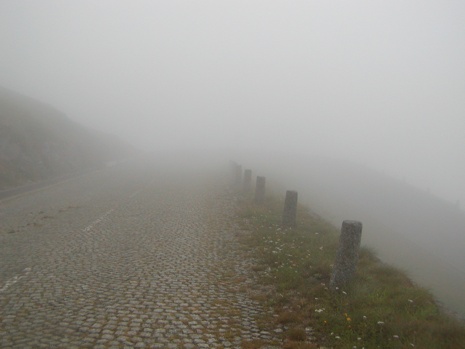 P8180137.jpg