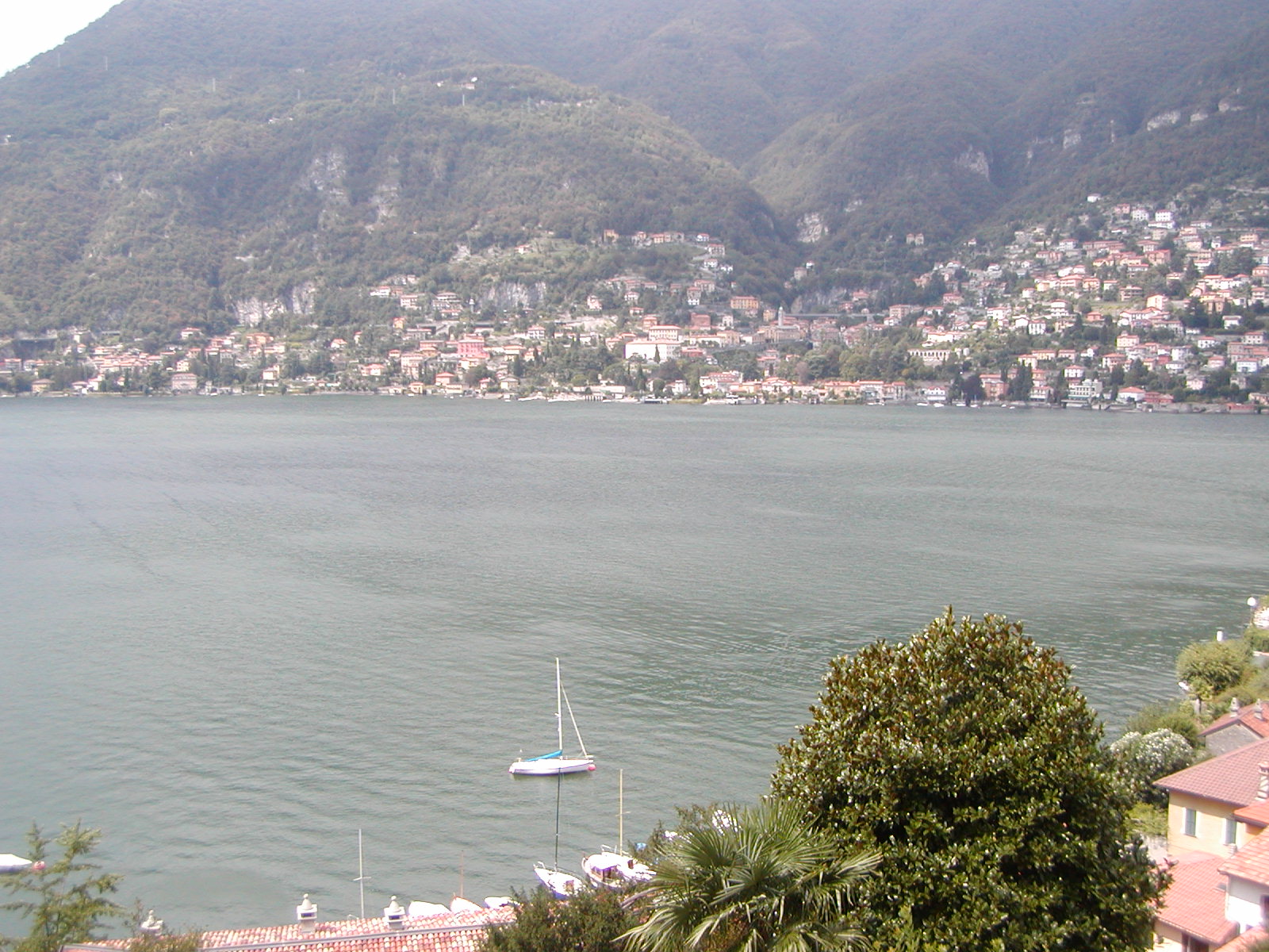P8200173.jpg