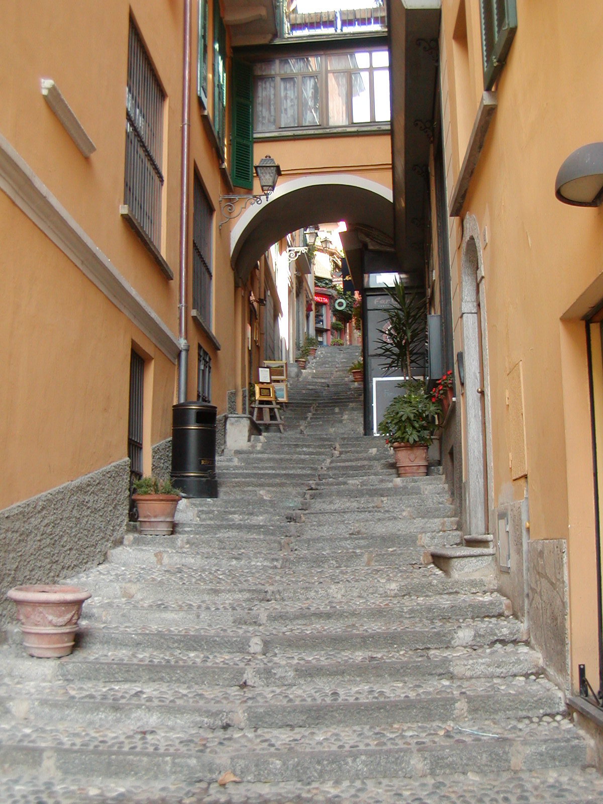 P8200185.jpg
