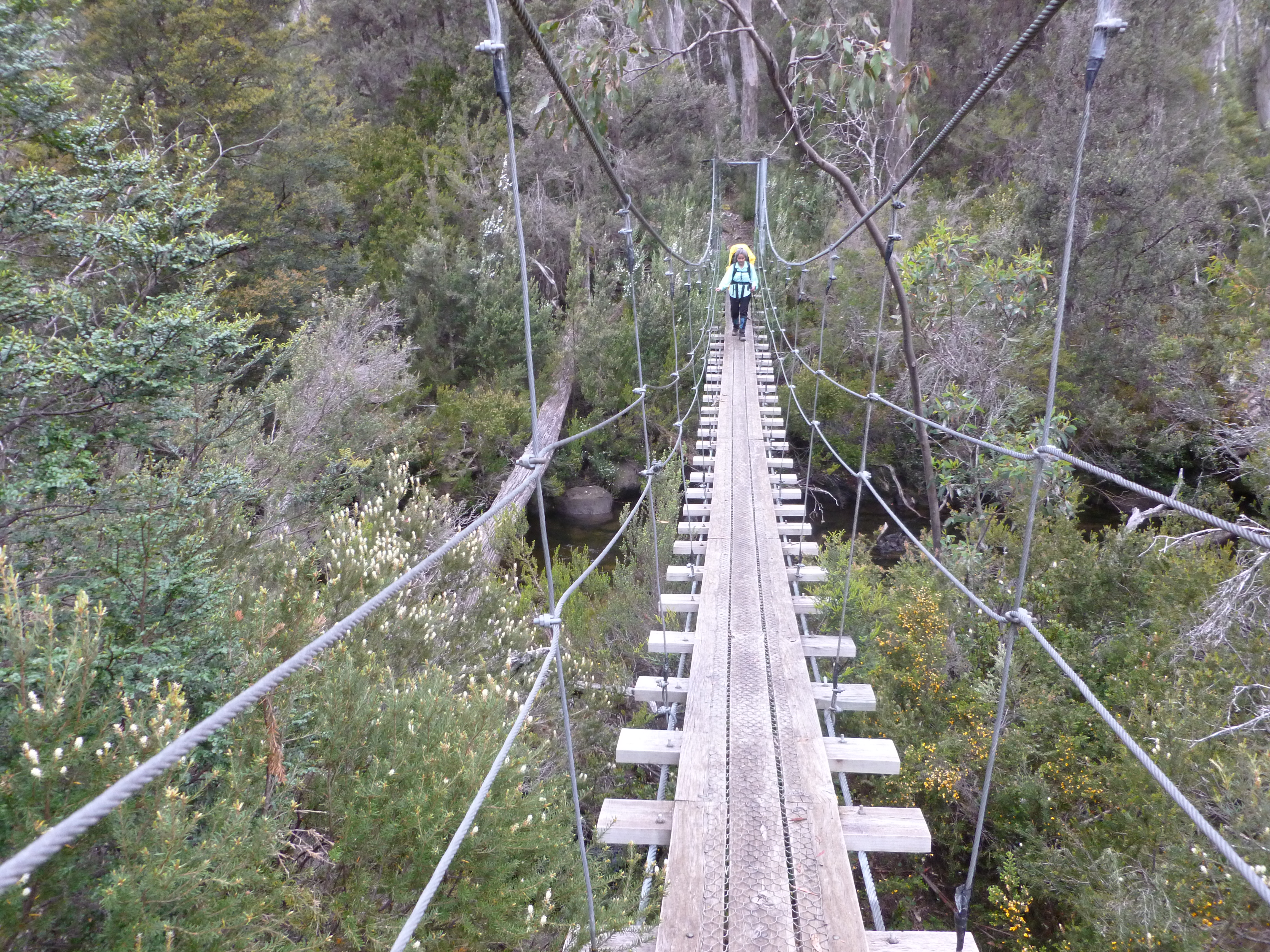P1020520.JPG