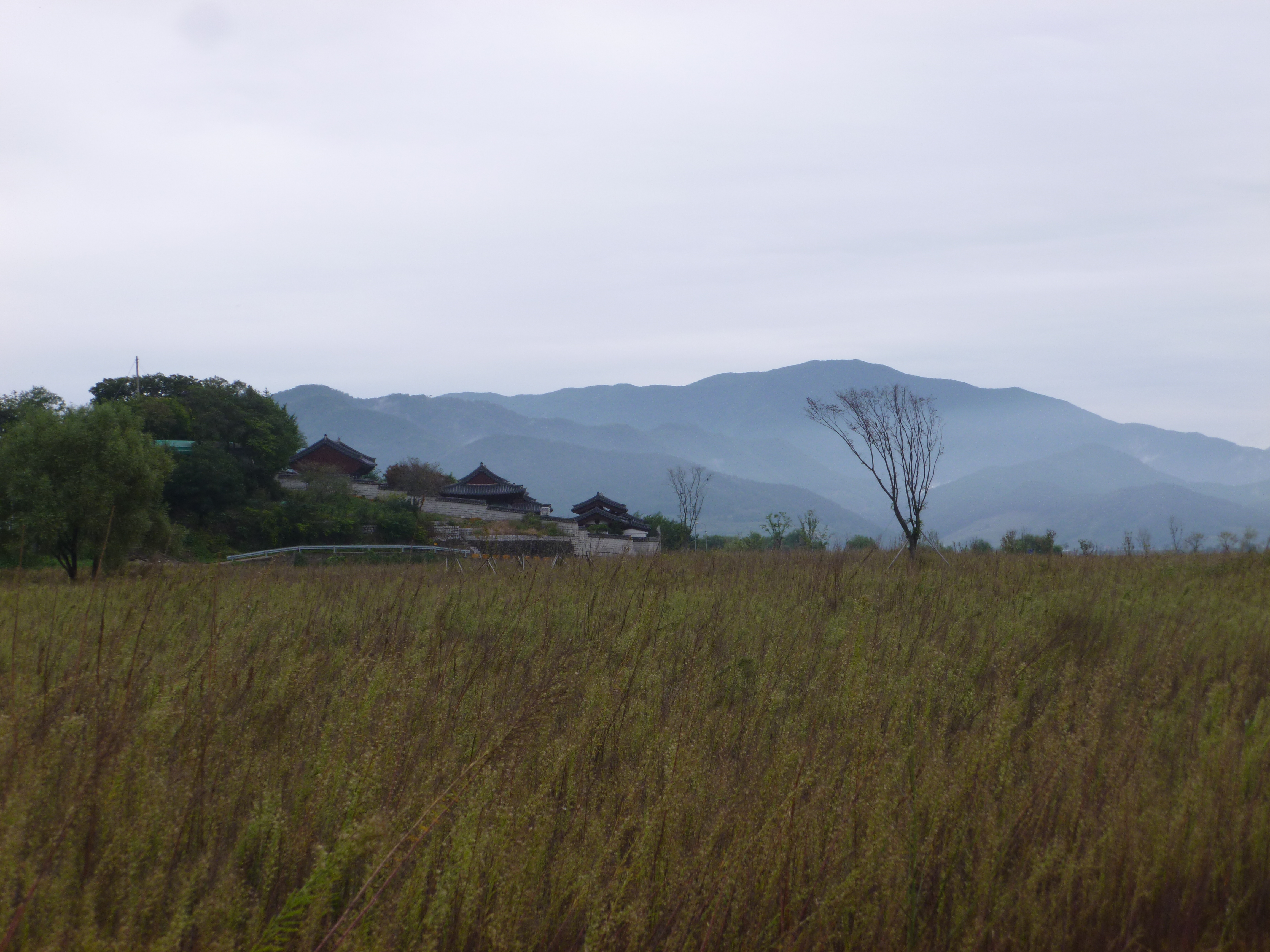 P1030883.jpg